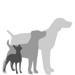 Ind